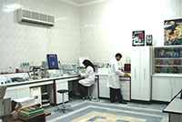 Wouroud's Laboratory